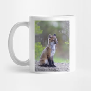 Red fox kit Mug